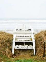 Double Blessing: CEO