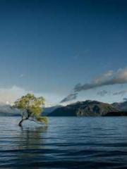 lt;Mr. Bao, Mrs. Bao