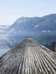 The Daring Wife of a