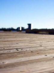 A Wifeapos;s Plea fo