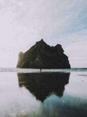 One Pregnancy, Two B