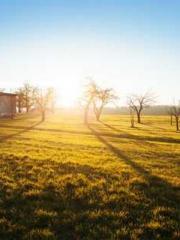 Lu Zongapos;s Hidden