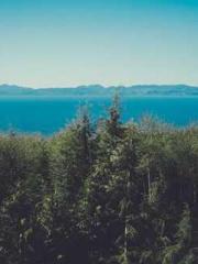 lt;Mr. Bao, Mrs. Bao