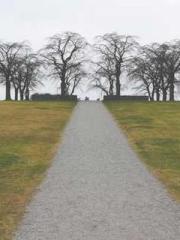 Dangerously Close to