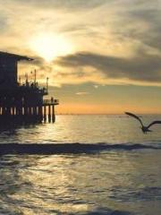 lt;lt;lt;The Peerles