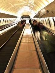 Mr. Gu, your wife is