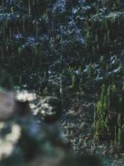 lt;lt;lt;Visionary S