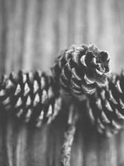 lt;lt;The Heavenly D