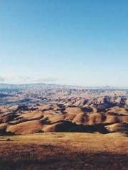 Li Qingqing and Zhao