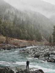 Transmigration: Feel