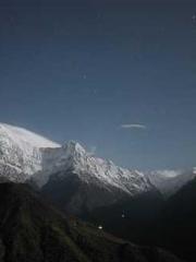 My pets are all amaz