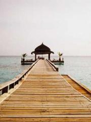 Meng Jinyu Gu Jingxi