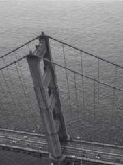 Cultivating My Empre