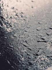 Bodhisattva of Compa