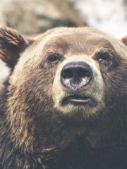 lt;lt;lt;Visionary S