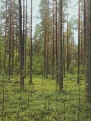 The Sovereign of the