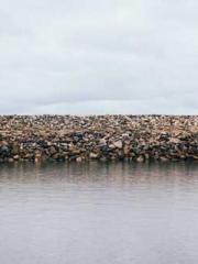 The Realm of the Dao