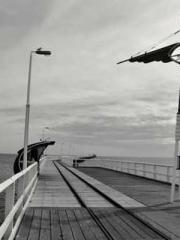 Becoming a Farm Girl