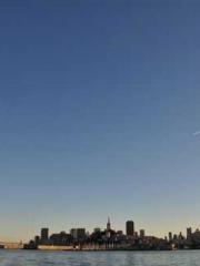 Omnipotent Mad Young