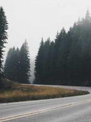 The Wife of My Heart