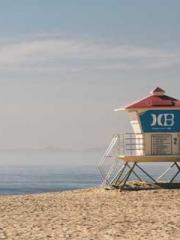 lt;gt;The son of a w