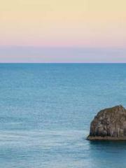 Two Treasures Arrive