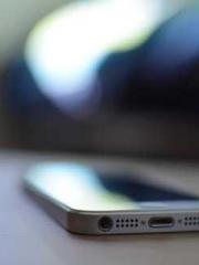 Bones-Eating Marriag