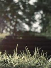 The Ugly Womanapos;s