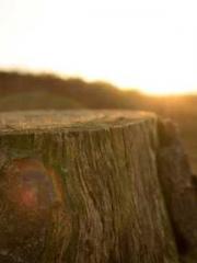 The Ugly Womanapos;s