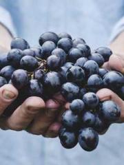 A-SOULapos;s Hoshima