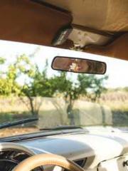 Saintly Gate Venerab