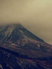 Rebirth as a Court A