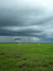 lt;Nineth Uncle, you