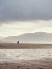 Lin Feng Lin Yun Yao