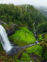 Rong Zhao Nanning Yu