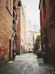 lt;Jingyuan Rong Sha