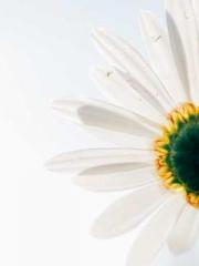 lt;lt;Waste Material