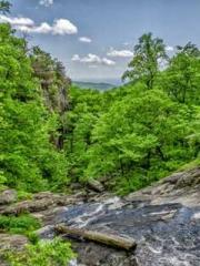 Retired War God Yang