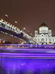 A Lifetime of Captiv