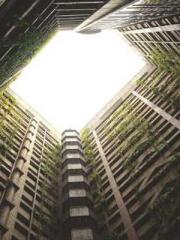 lt;Diga: From Jetton