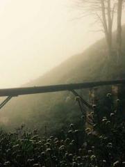 lt;lt;lt;Lin Feng Li