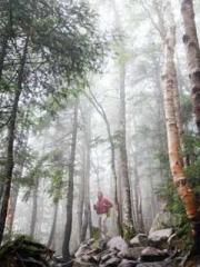 Wang Xuan Mu Qingyue