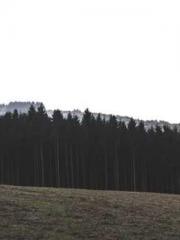 lt;lt;lt;Lin Feng Li