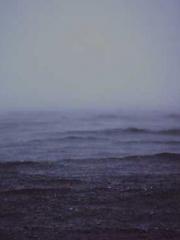 lt;Gingerly, Shen Qi