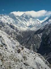 One Pregnancy, Two B