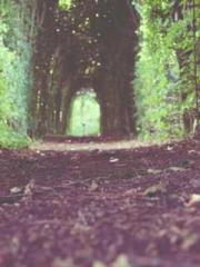 lt;Heavenly Fire Dyn