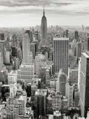 The Realm of the Dao