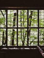 Jiang Mingzhu Zhou L