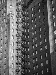 The Realm of the Dao