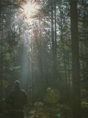 One Pregnancy, Two B